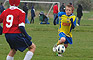 Cleveland Select Photo Gallery