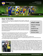 open PDF