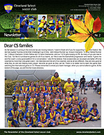 open PDF