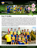 open PDF
