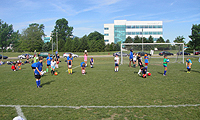 CS Summer Camps