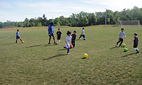 CS Summer Camps
